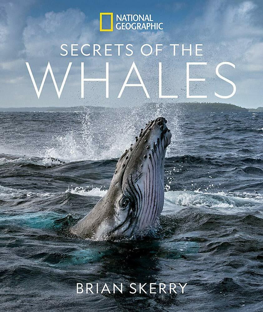 Secrets of the Whales (Hardcover)