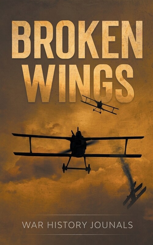 Broken Wings: WWI Fighter Aces Story of Escape and Survival (Paperback)