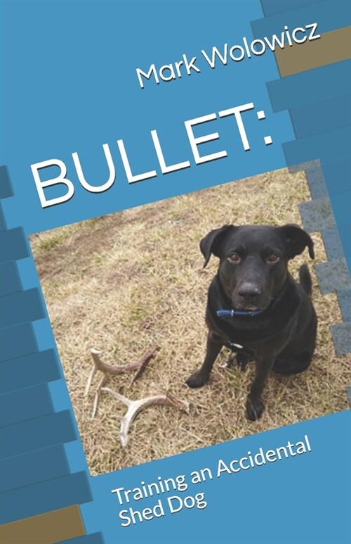 Bullet: Training an Accidental Shed Dog (Paperback)