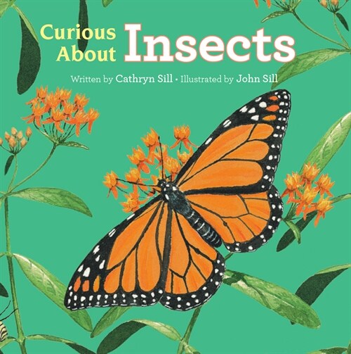 Curious about Insects (Board Books)