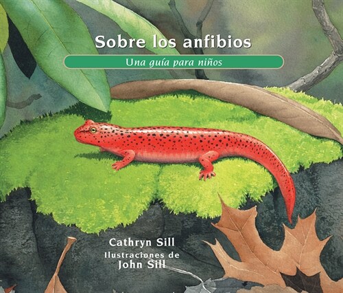 Sobre Los Anfibios: Una Gu? Para Ni?s (Paperback)