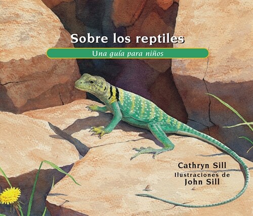 Sobre Los Reptiles: Una Gu? Para Ni?s (Paperback)
