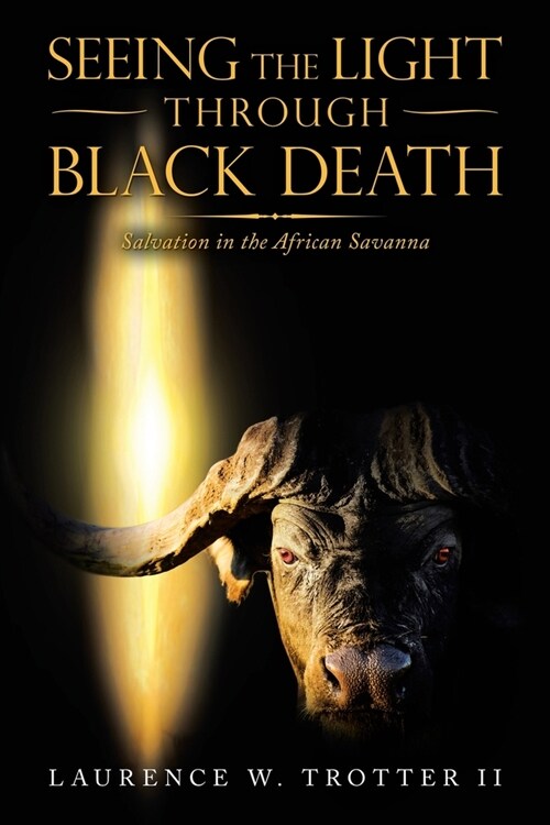 Seeing the Light Through Black Death: Salvation in the African Savanna (Paperback)