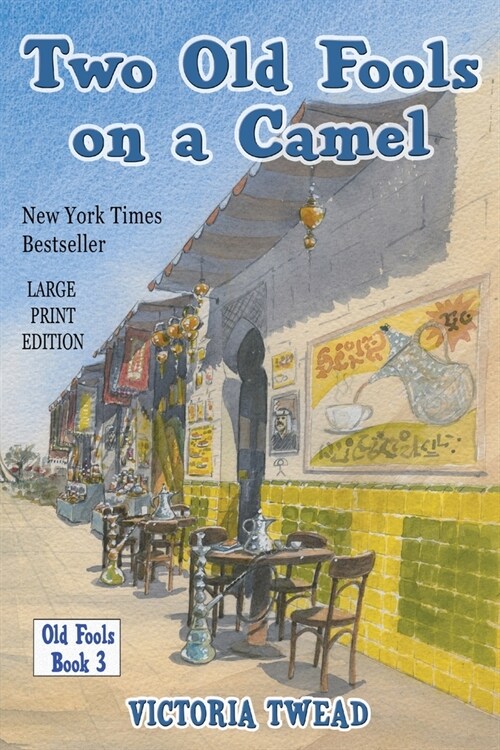 Two Old Fools on a Camel - LARGE PRINT: From Spain to Bahrain and back again (Paperback)