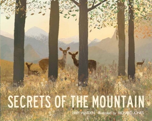 Secrets of the Mountain (Paperback)