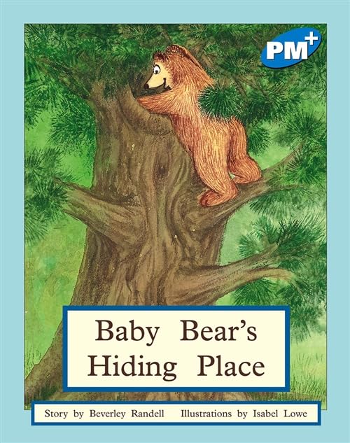 Baby Bears Hiding Place (Paperback )