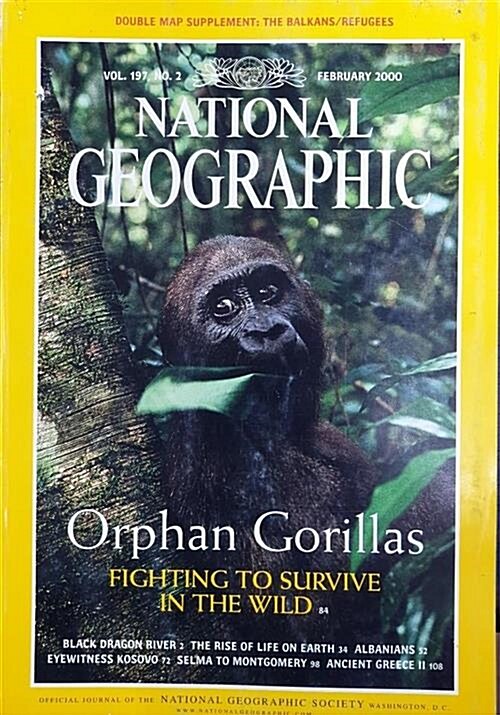 [중고] 내셔널 지오그래픽 National Geographic 2000.2 -영문판