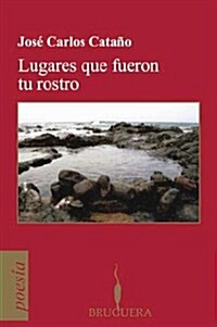 Lugares Que Fueron Tu Rostro/ Things That Were Your Face (Paperback)