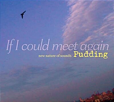 [중고] Pudding - If I Could Meet Again