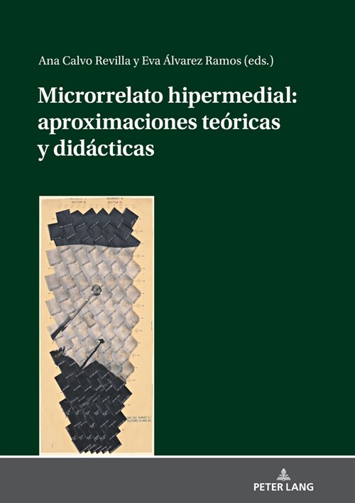 Microrrelato Hipermedial: Aproximaciones Te?icas Y Did?ticas (Hardcover)