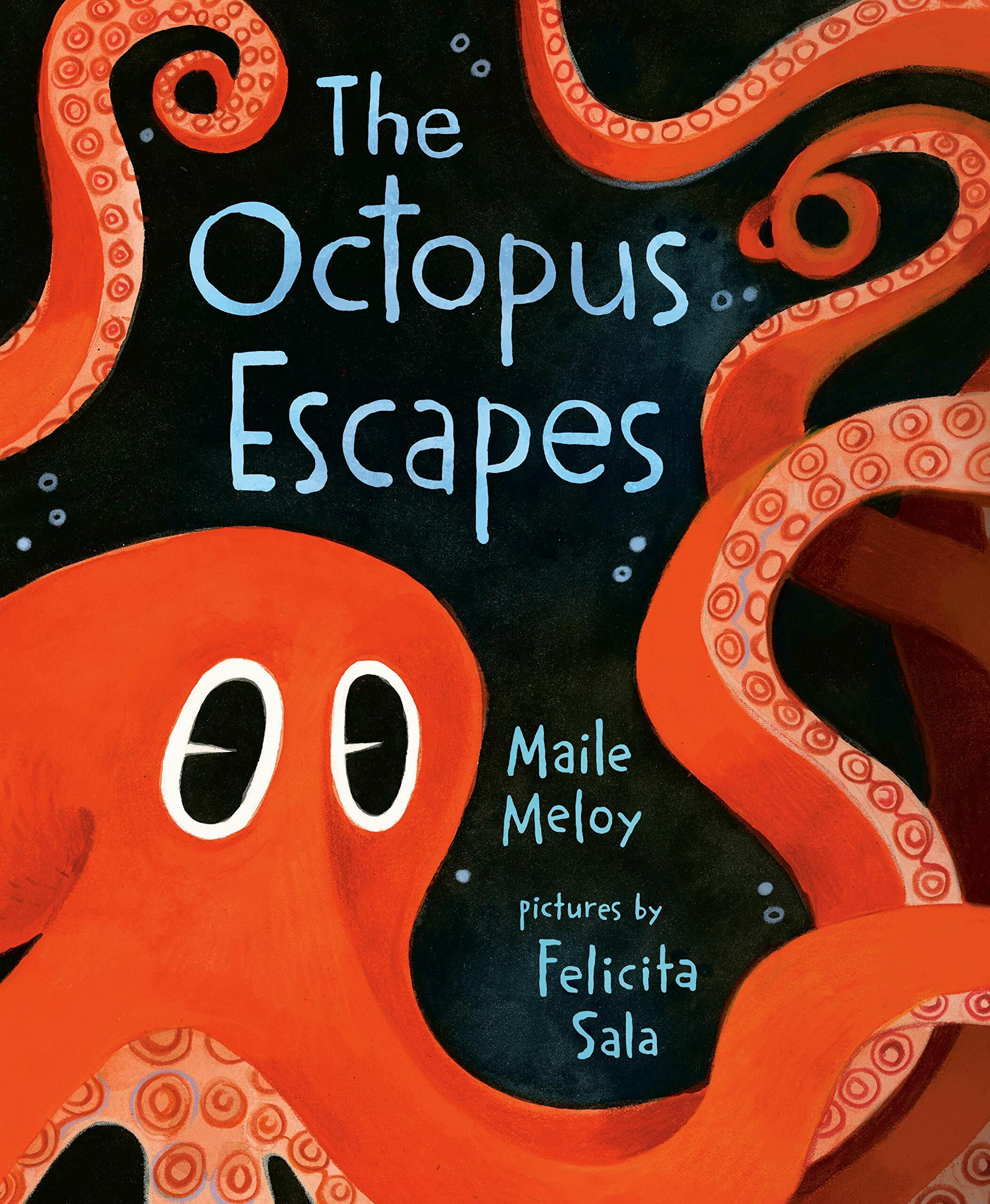 The Octopus Escapes (Hardcover)