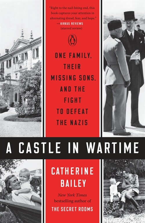 A Castle in Wartime: One Family, Their Missing Sons, and the Fight to Defeat the Nazis (Paperback)