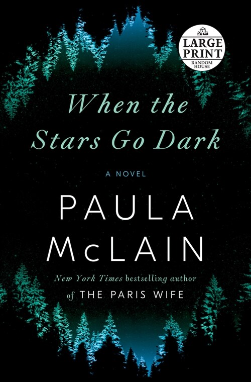 When the Stars Go Dark (Paperback)