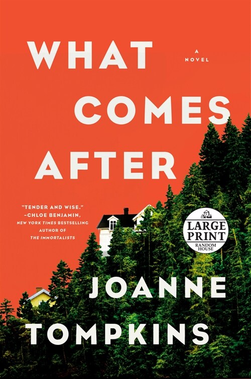 What Comes After (Paperback)