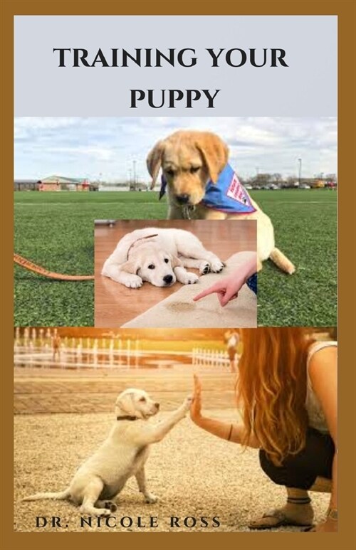 Training Your Puppy: Fun, Simple And Easy Way To Care For Your Canine Friend From PuppyHood To Beyond (Paperback)