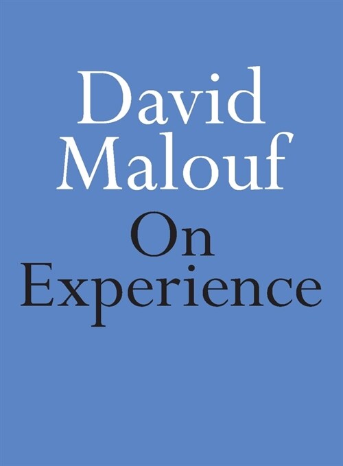 On Experience (Paperback)