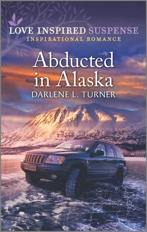 Abducted in Alaska (Mass Market Paperback, Original)