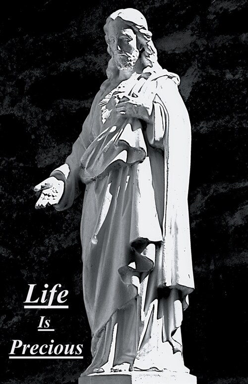 Life Is Precious (Paperback)