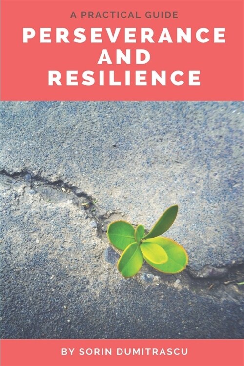 Perseverance and Resilience: A Practical Guide (Paperback)