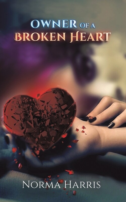 Owner of a Broken Heart (Paperback)