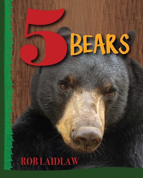 5 Bears (Hardcover)