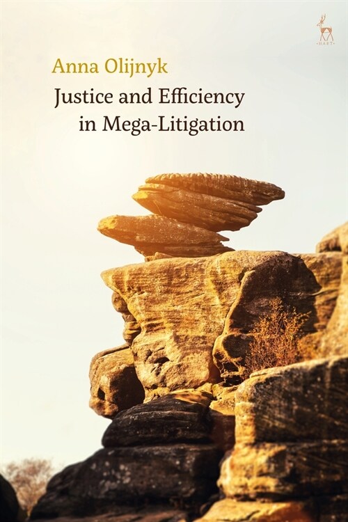 Justice and Efficiency in Mega-Litigation (Paperback)