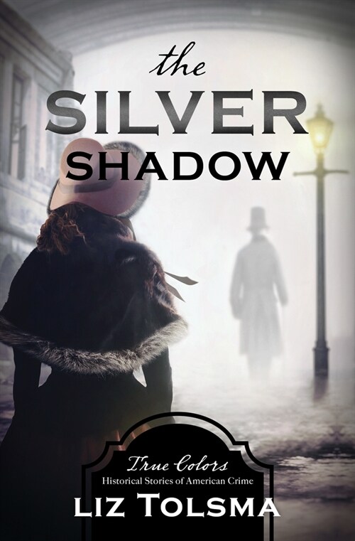 The Silver Shadow: Volume 11 (Paperback)