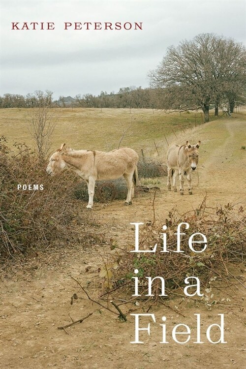 Life in a Field: Poems (Paperback)