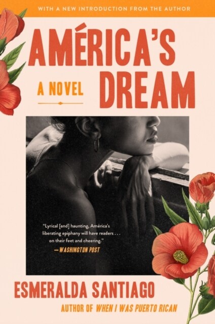 Americas Dream (Paperback)