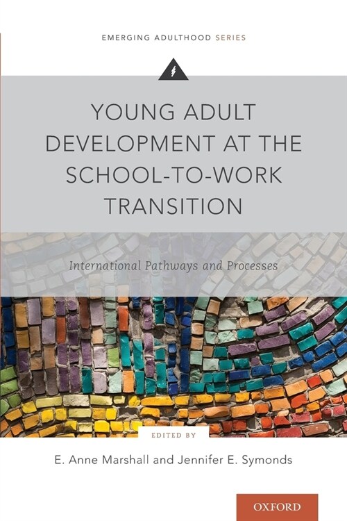 Young Adult Development at the School-To-Work Transition: International Pathways and Processes (Paperback)