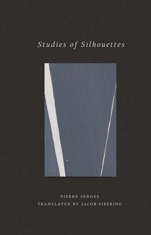 Studies of Silhouettes (Paperback)