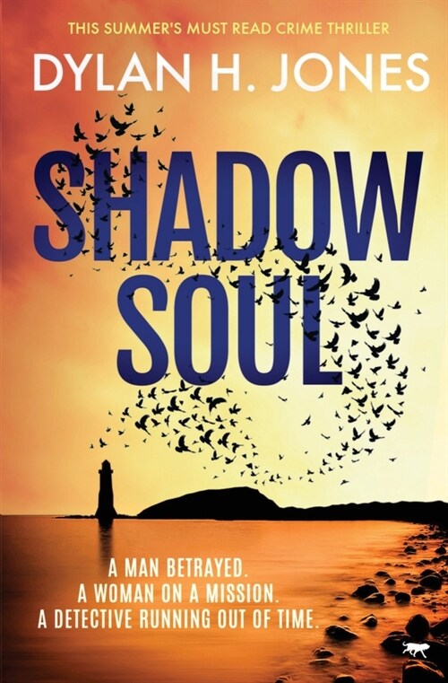 Shadow Soul (Paperback)
