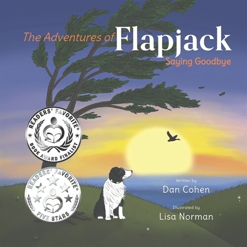 The Adventures of Flapjack: Saying Goodbye (Paperback)