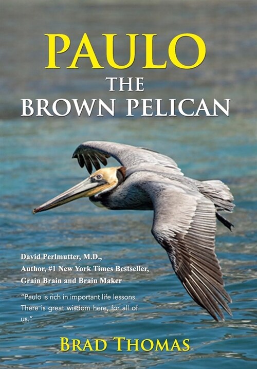 Paulo the Brown Pelican (Paperback)