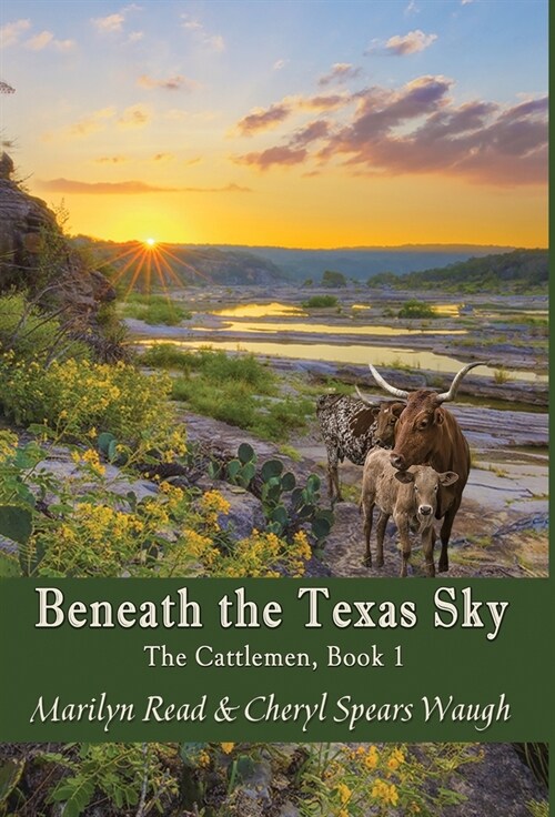 Beneath the Texas Sky (Hardcover)