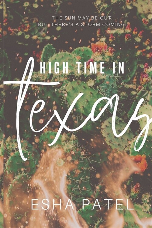 High Time in Texas (Paperback)