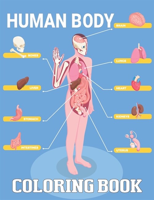 Human Body Coloring Book: The Best Entertaining Coloring Book to the Human Body - Bones, Muscles, Blood, Nerves. (Paperback)
