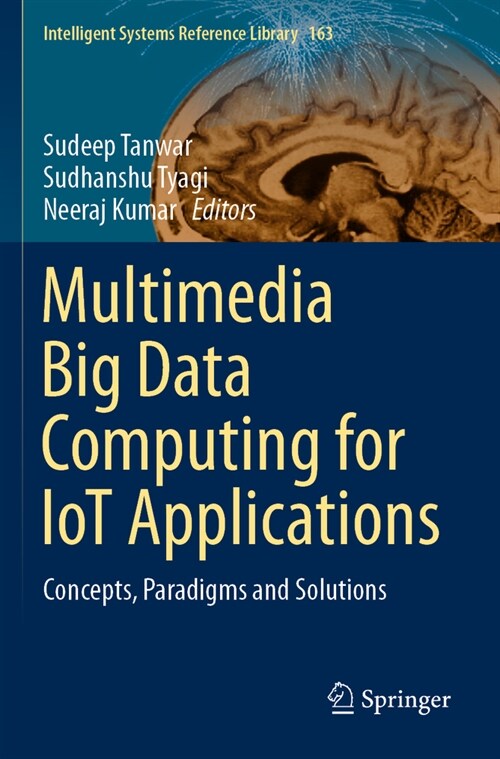 Multimedia Big Data Computing for IoT Applications (Paperback)