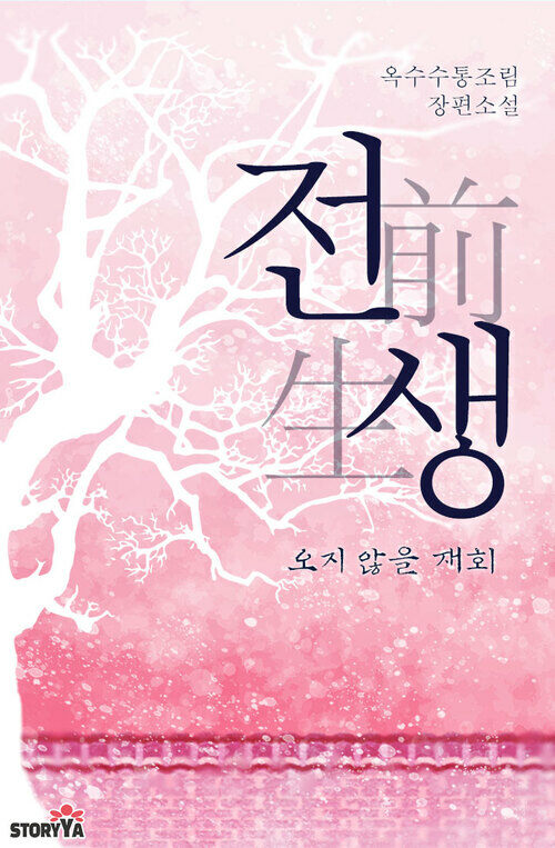 [BL] 전생: 오지 않을 재회 3 (완결) 커버