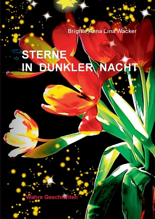 Sterne in dunkler Nacht: Wahre Geschichten (Paperback)