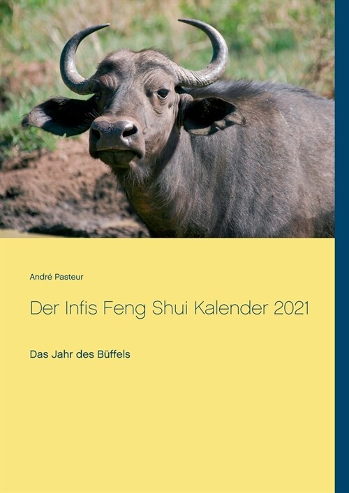Der Infis Feng Shui Kalender 2021: Das Jahr des B?fels (Paperback)