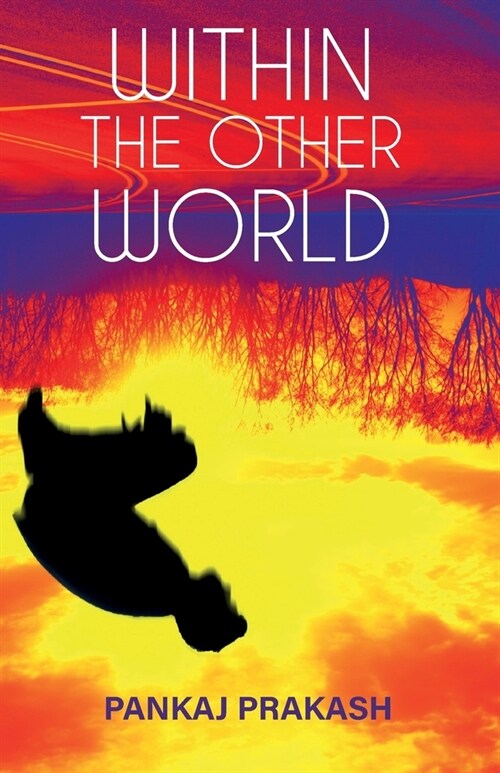 Within The Other World (Paperback)