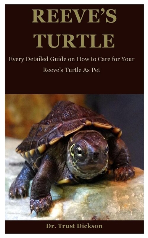 Reeves Turtle: Every Detailed Guide on How to Care for Your Reeves Turtle As Pet (Paperback)