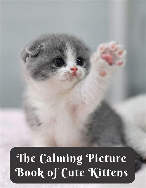 The Calming Picture Book of Cute Kittens: Dementia Activities for Seniors & Adults - A Large Print Book with Brief Descriptions for Dementia Patients (Paperback)