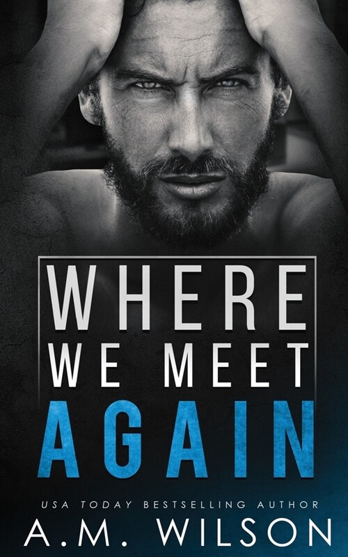 Where We Meet Again (Paperback)