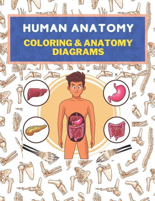 Human Anatomy: Coloring & Anatomy Diagrams (Paperback)