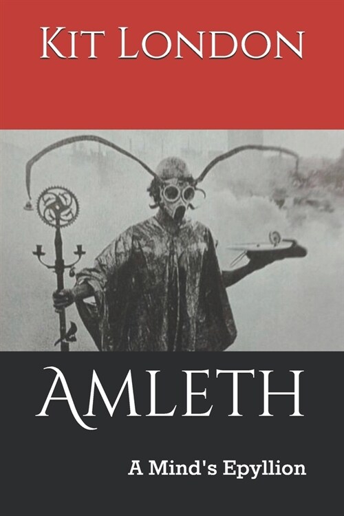 Amleth: A Minds Epyllion (Paperback)