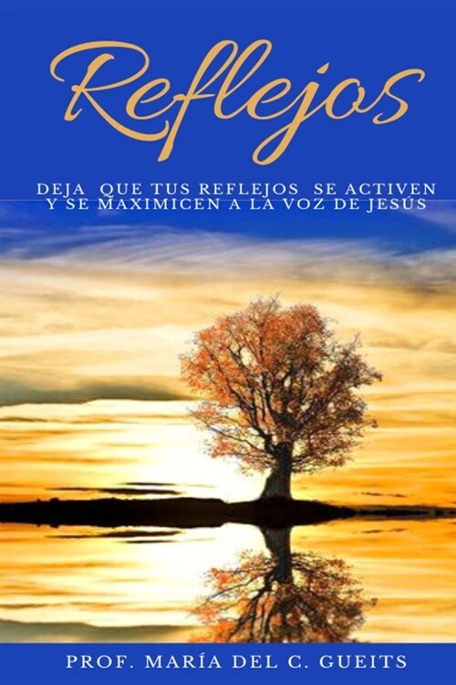 Reflejos (Paperback)
