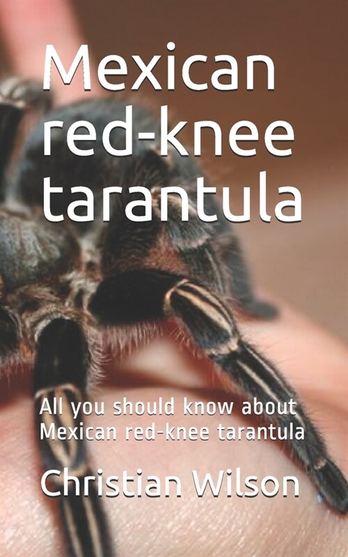 Mexican red-knee tarantula: All you should know about Mexican red-knee tarantula (Paperback)
