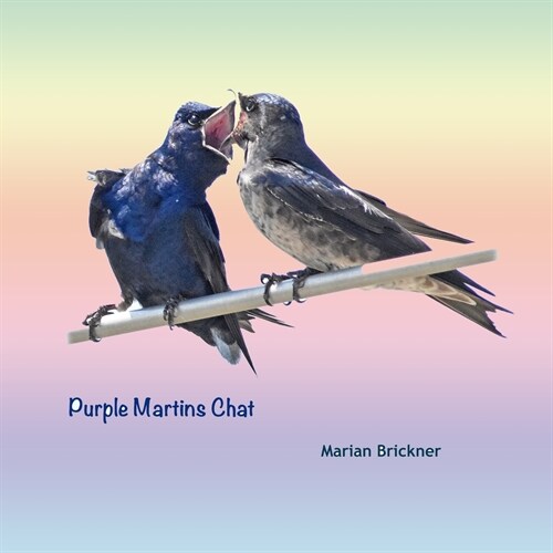 Purple Martins Chat (Paperback)